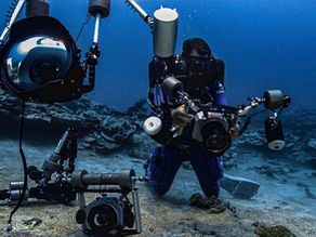 Giant pristine coral reef discovered off Tahiti