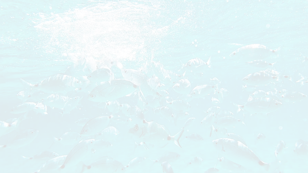 Copy of Untitled Design.png