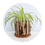 Thumbnail: Small Driftwood Plant Pot (06)