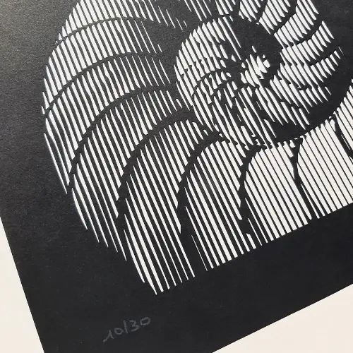 Miniature : Œuvre en papier noir montrant un coquillage en silhouette graphique.