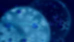 Rapid Detection of Carbapenemase Activity in Carbapenemase-Producing Organisms (CPO) Using MALDI-TOF