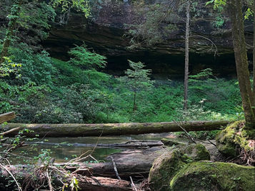 Swift Camp Creek, Kentucky