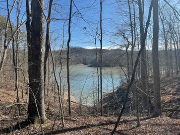 Following That Turtle - Section Hiking the Sheltowee