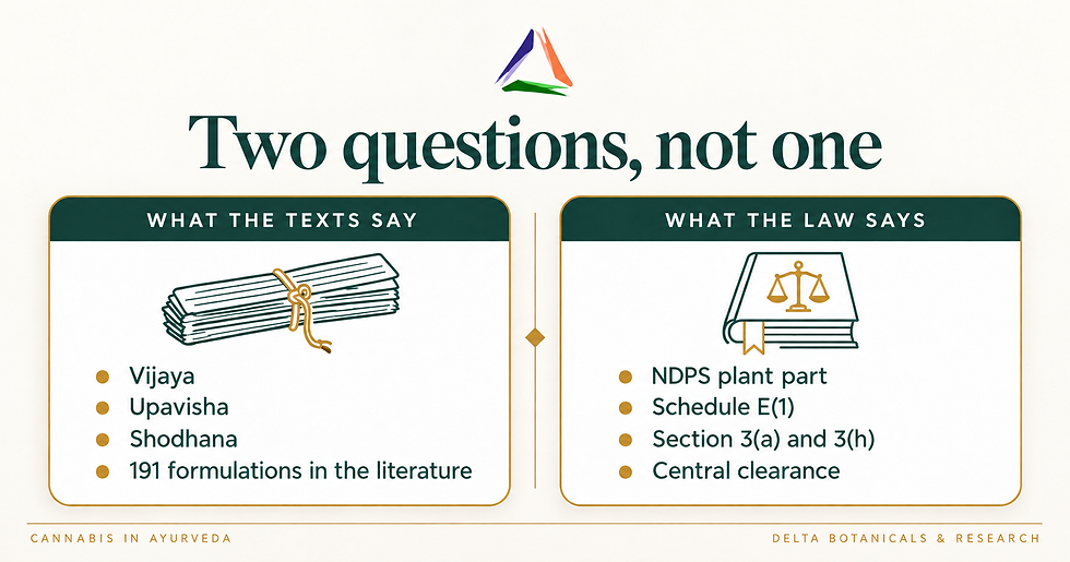 Presentation slide titled Two questions, not one comparing What the texts say and What the law says about cannabis.