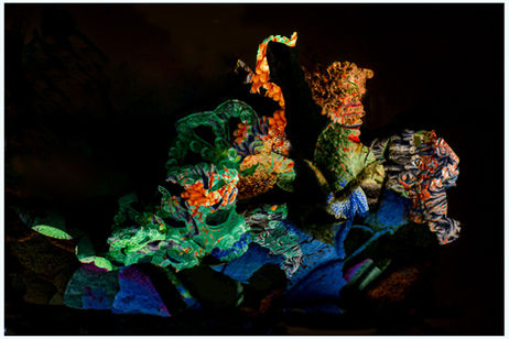 Fantastical Sea Monster