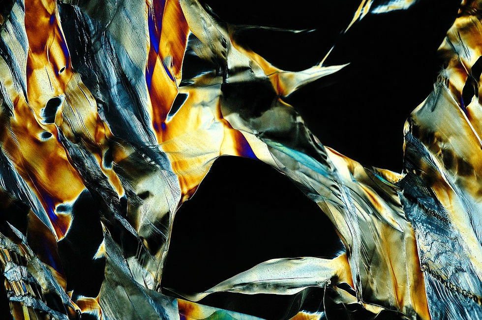 Boreal Morgade 14