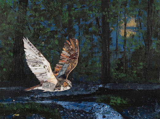 Through the Trees, Original Art by Elena K. Abbott, showing a barred owl in the night time forest