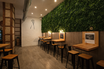 Innenansicht des Viznaga Pub in Málaga, Spanien: eine moderne Bar mit Holztischen, Barhockern und einer dekorativen grünen Wand im Stadtzentrum.