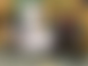 Défi Soucy International