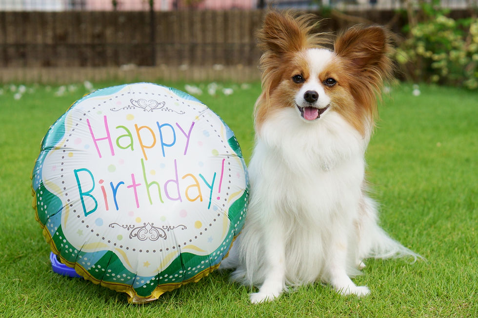24649264_m誕生日.jpg