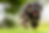 mv-left-bg_2x.png