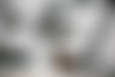 The Rise of Podcasting: Why Everyone Is Listening