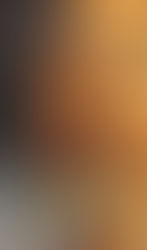 Exploring the Haunting Mystery of Jade Green by Phyllis Reynolds Naylor