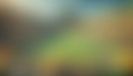 The Green Bay Packers: A Legacy of Tradition and Triumph