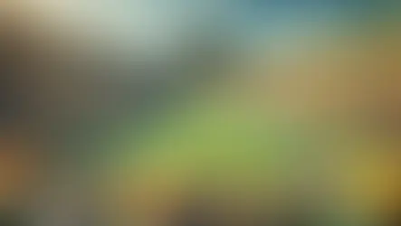 The Green Bay Packers: A Legacy of Tradition and Triumph