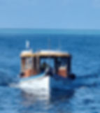 Manta_Belgium_23