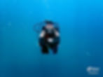 Manta_Belgium_53