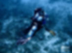 Manta_Belgium_50