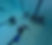 Manta25_410.jpg