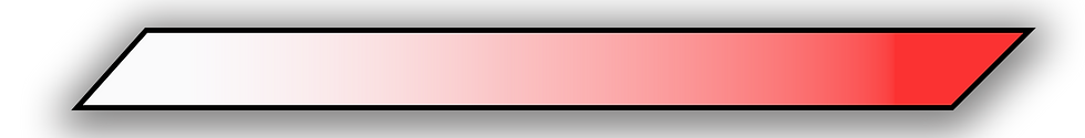 New Search Bar copy.png
