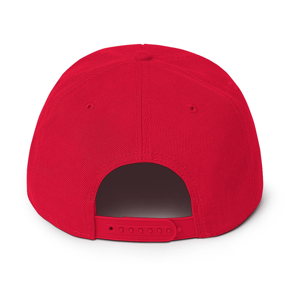 Thumbnail: KANNONBALL RALLY "PAINTER" Snapback Hat