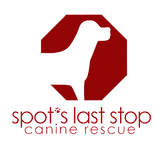 SLS_edited.png