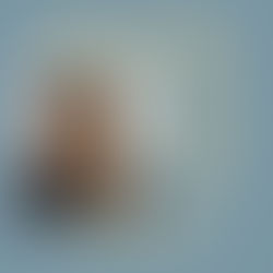 Artistic Activism Webinar Ft. Kira Ackerman