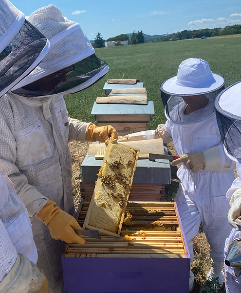 Baptème apiculture près de Fontainebleau en Seine et Marne 
