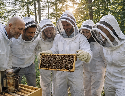 seminaire apiculture domaine montaubois.png