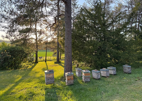 Parc spacieux de 2 hectares, idéal pour séjours privés et séminaires