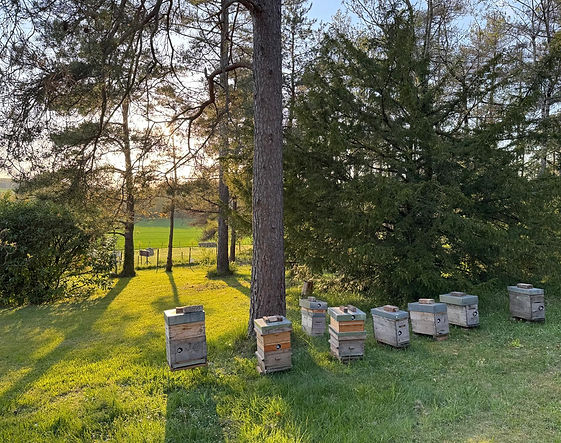 Parc spacieux de 2 hectares, idéal pour séjours privés et séminaires