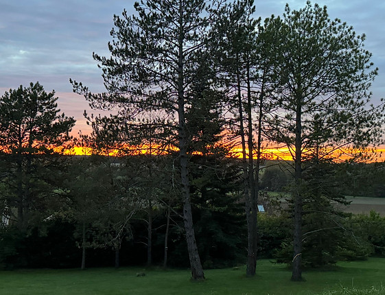 Domaine de Montaubois illuminé au crépuscule près de Fontainebleau