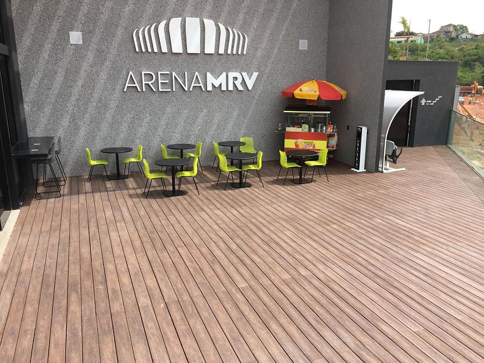 ARENA MRV