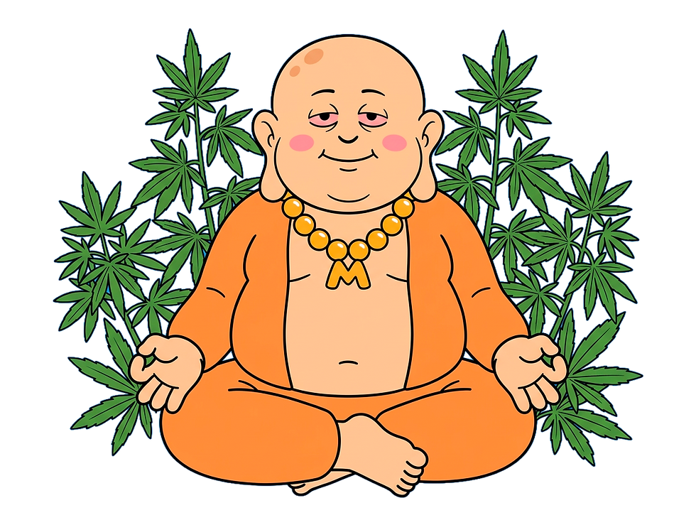 Mr zen_3.png