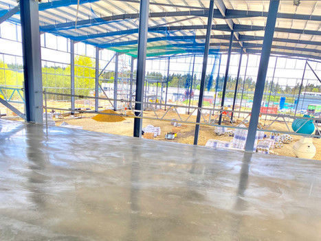 9f8253_4c66238f56f14378bf9dc5a9ab5145b5~mv2 (1).jpg