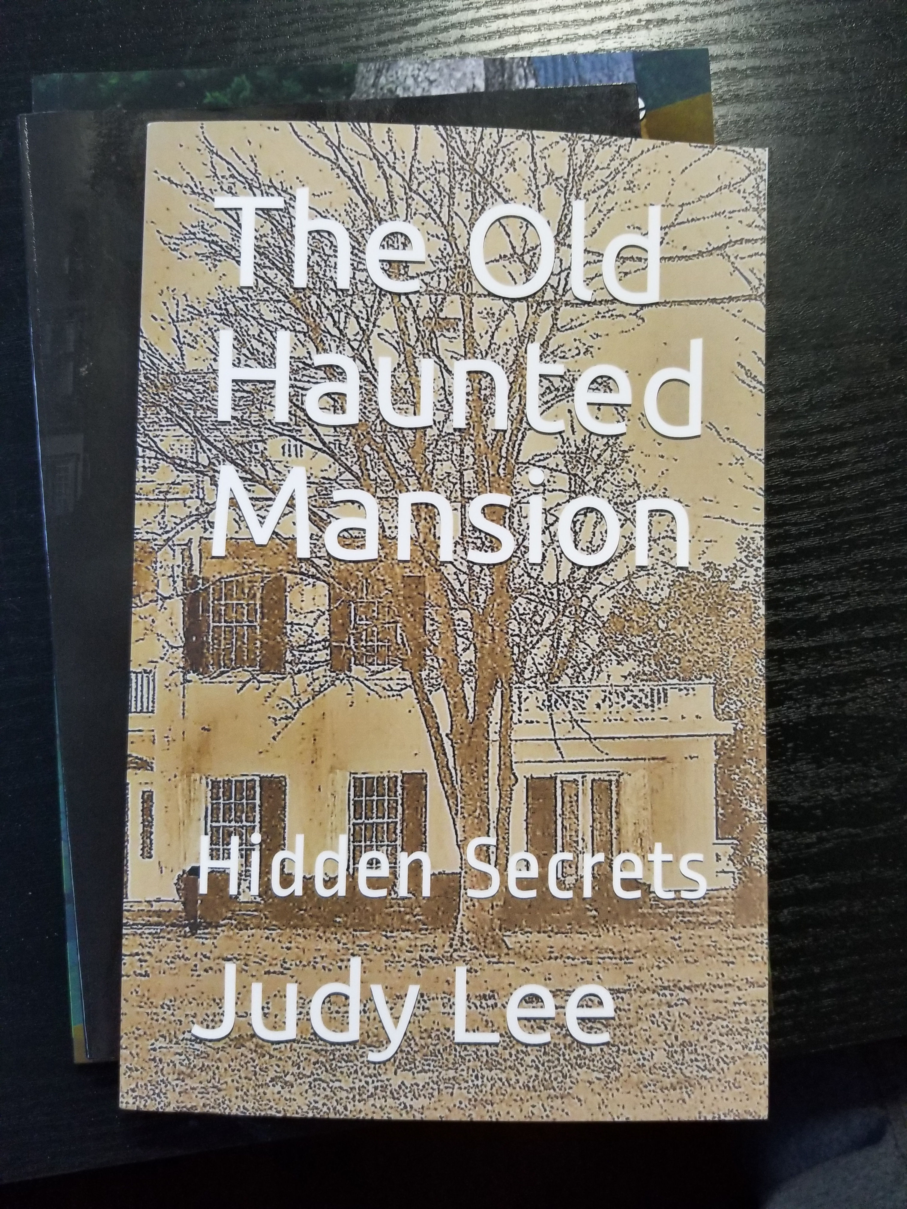 The Old Haunted Mansion 