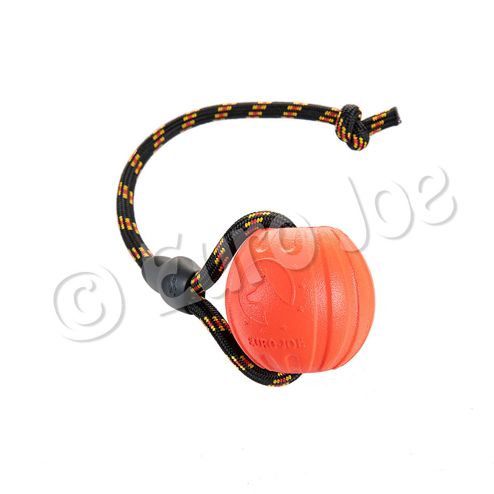 Miniature : Super Red Ball avec poignée