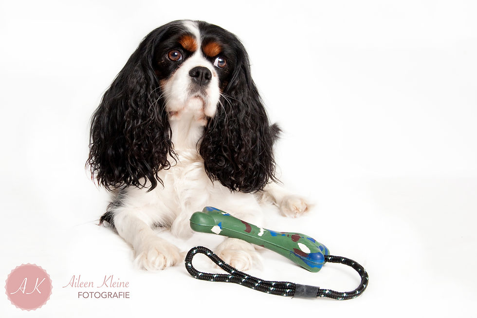 Hunting Dog The Bone 17cm