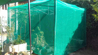 Green shade-net house for outdoor growing in Johannesburg