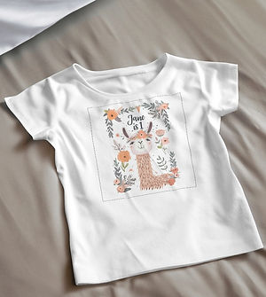 small-tshirt-flatlay-mockup-00157 (1).jpg