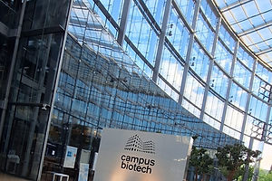 WhatsApp Image 2025-07-11 at 15.14.32 (1).jpeg