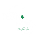 Testo Import