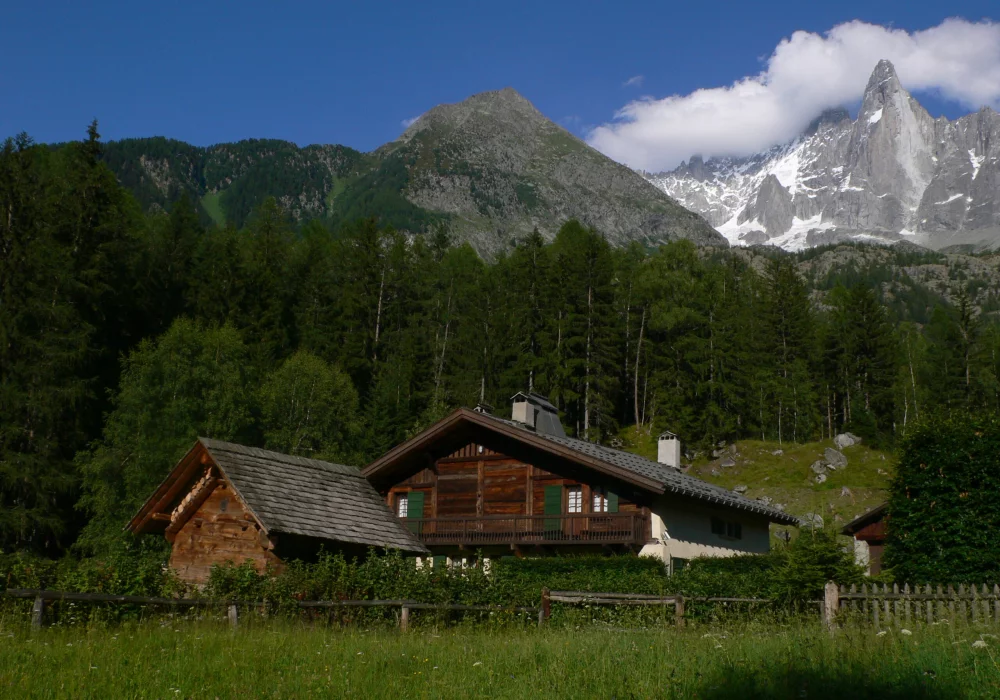 Sous la menace du glacier.webp