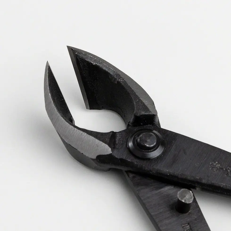 Thumbnail: Concave Branch Cutter 8"(200mm)