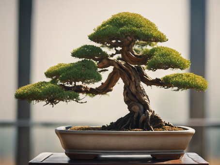 Ultimate Guide to Field Grown Bonsai Care Tips