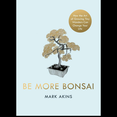 malpighia bonsai Malpighia Bonsai Tree  Lones Bonsai