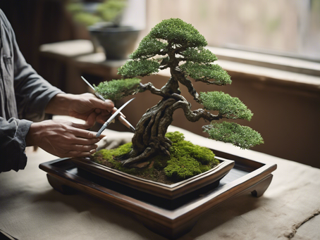 Discover the Art of Field Grown Bonsai Styling