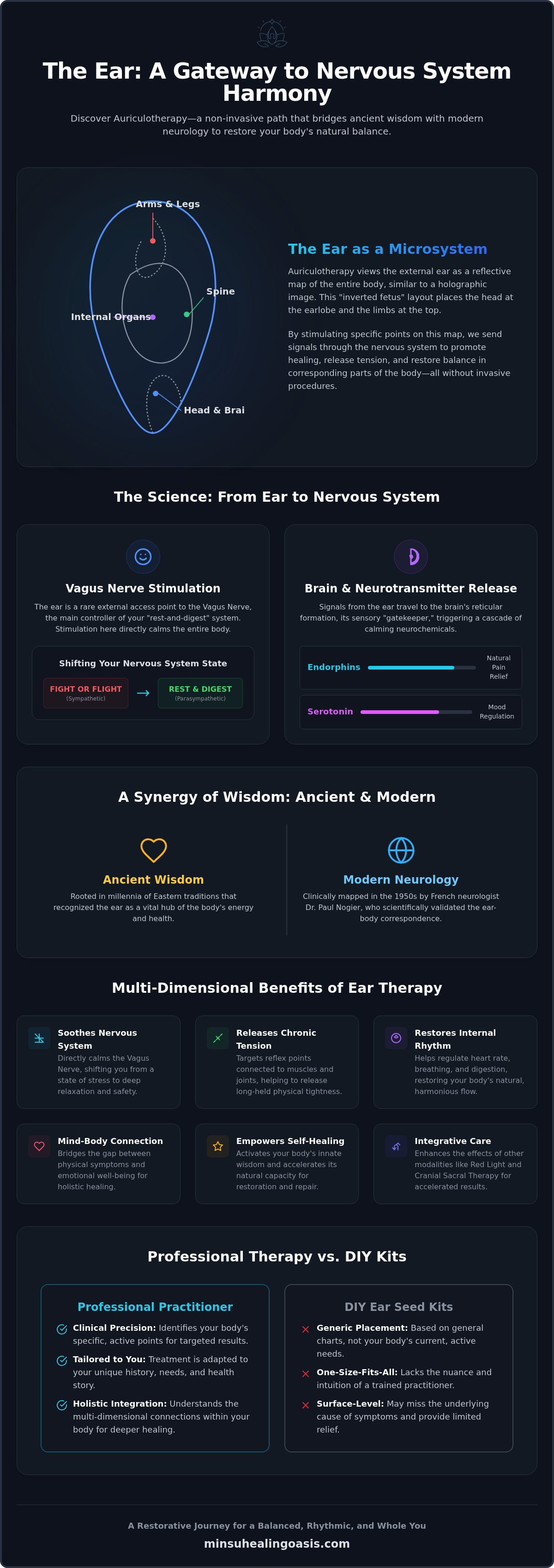 Auriculotherapy miami