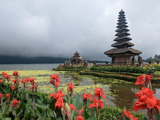 Wahkohtowin represents Northern Ontario Communities at FSC International in Bali.