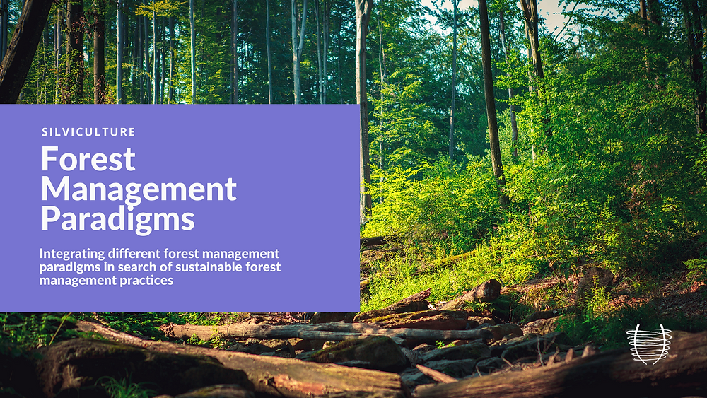 Wayne Bell on silviculture and sustainable forest management practices.